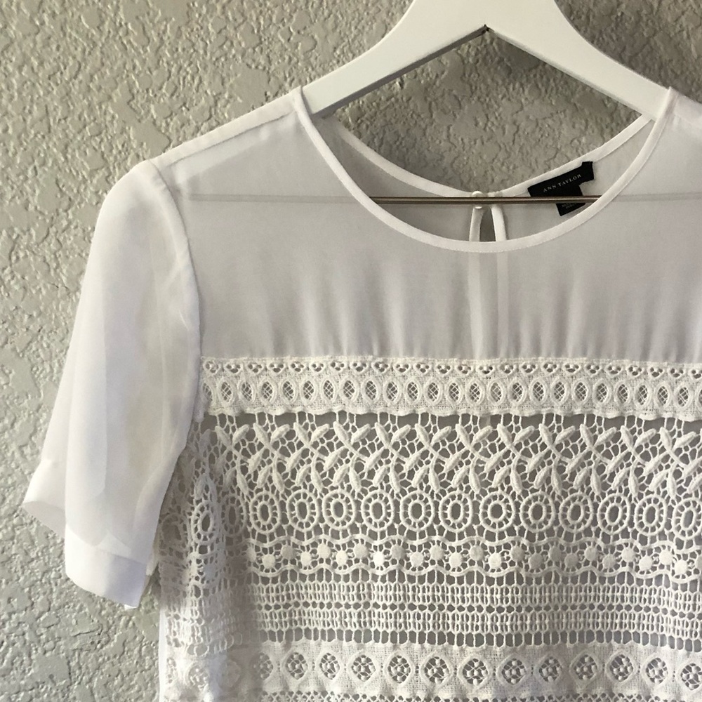 🤍Ann Taylor Blouse🤍